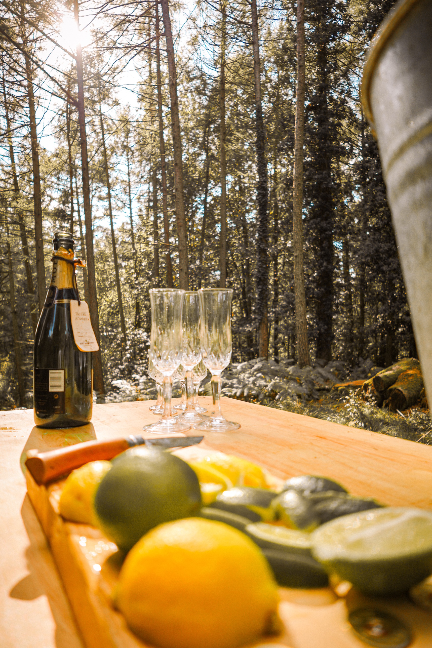 Champagne, cut-glass flutes and citrus on the serving counter in sunlit woodland