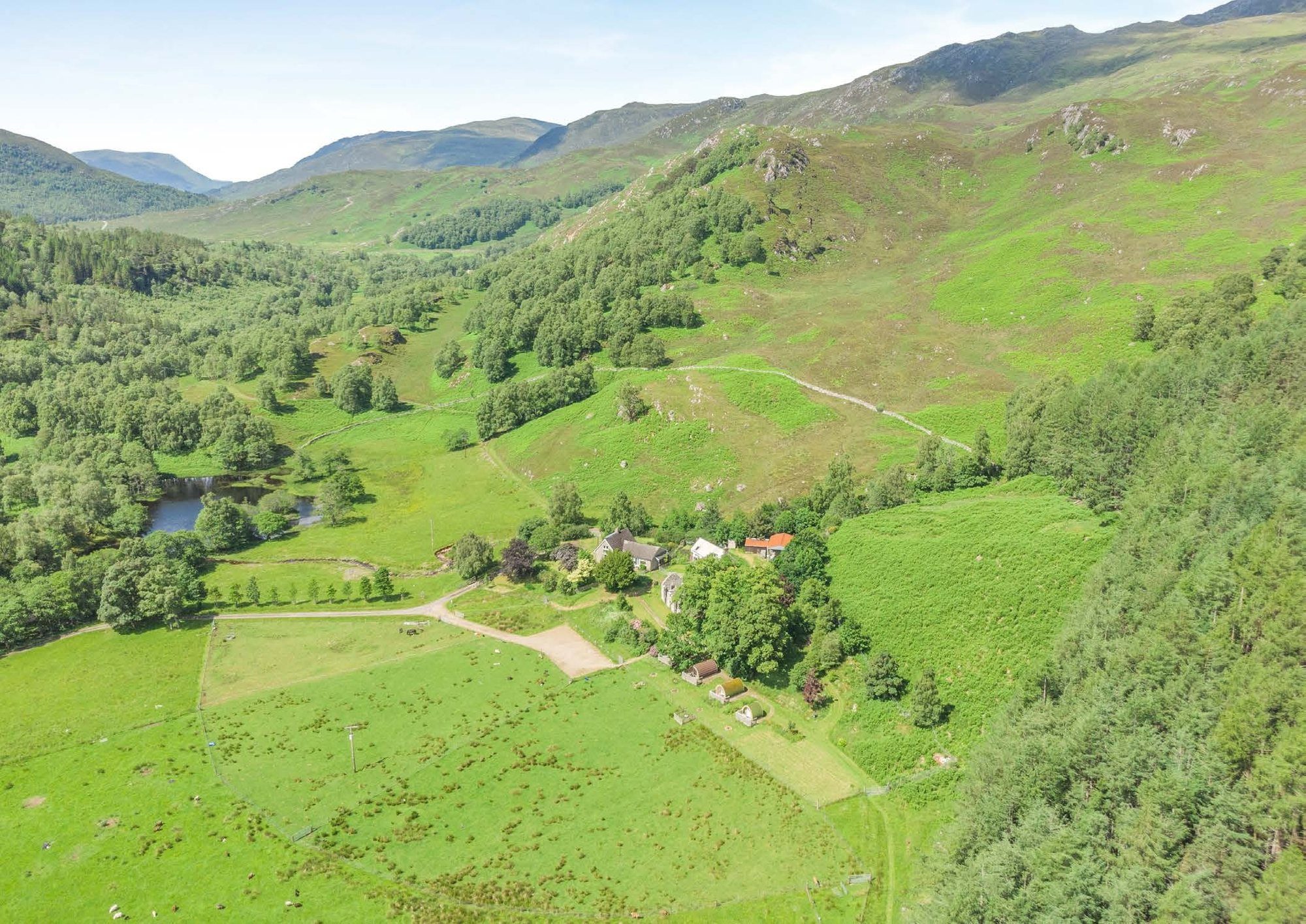 Looking down the glen over the estate's grazing, woodland and loch
