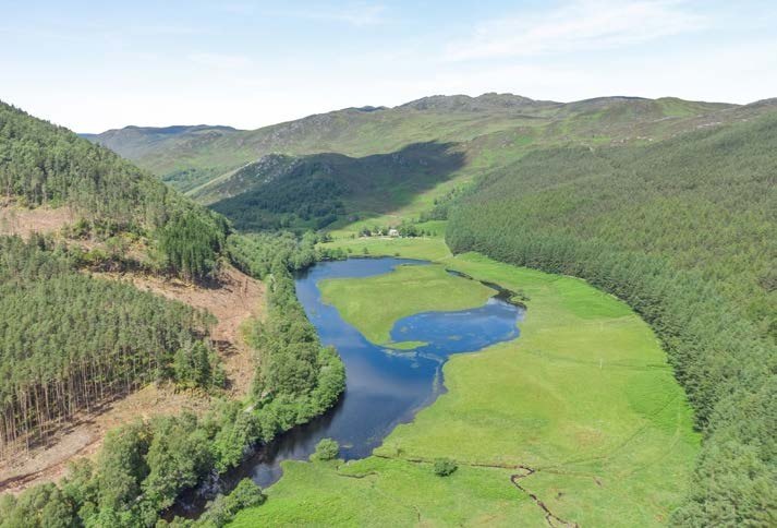 The river winding through the glen, with forestry on the hillsides